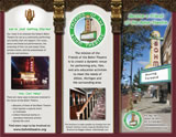 Custom Designed Brochures
